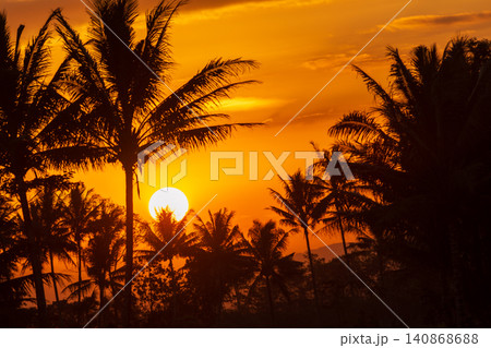 Beautiful tropical sunset landscape with silhouettes of coconut palm trees against golden sky. Beautiful tropical sunset landscape with silhouettes of coconut palm trees against golden sky. 140868688