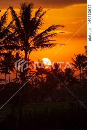 Beautiful tropical sunset landscape with silhouettes of coconut palm trees against golden sky. 140868697