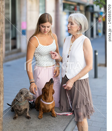 Girl and woman sitting with dachshunds during walk outdoors Girl and woman sitting with dachshunds during walk outdoors 140868709