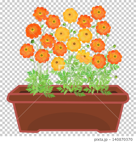 An illustration of yellow cosmos flowers planted in a planter. An illustration of yellow cosmos flowers planted in a planter. 140870370