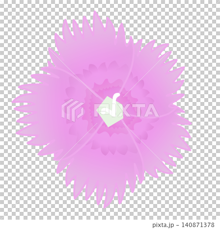 ピンクのダイアンサスのイラスト ピンクのダイアンサスのイラスト 140871378