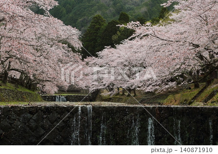 七谷川桜公園 七谷川桜公園 140871910