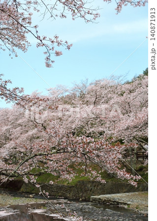 七谷川桜公園 七谷川桜公園 140871913