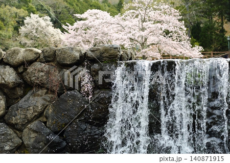 七谷川桜公園 七谷川桜公園 140871915