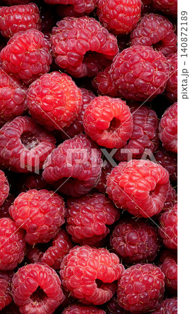 Close view of ripe raspberries piled together, showing glossy drupelets, rich red color, soft texture, and fresh healthy berry abundance Close view of ripe raspberries piled together, showing glossy drupelets, rich red color, soft texture, and fresh healthy berry abundance 140872189