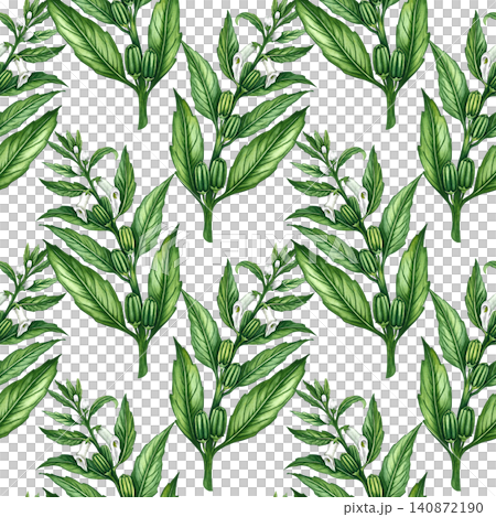 Seamless pattern with green sesame stalks with leaves, pods, and flowers. Hand-drawn watercolor illustration. For kitchen decor, textiles, wallpaper, product labels, wrapping paper, menus, and more. Seamless pattern with green sesame stalks with leaves, pods, and flowers. Hand-drawn watercolor illustration. For kitchen decor, textiles, wallpaper, product labels, wrapping paper, menus, and more. 140872190