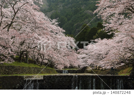七谷川桜公園 七谷川桜公園 140872248