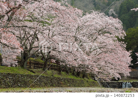 七谷川桜公園 七谷川桜公園 140872253