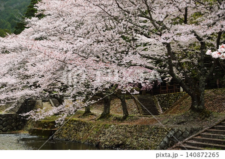 七谷川桜公園 七谷川桜公園 140872265