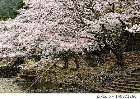 七谷川桜公園 七谷川桜公園 140872266