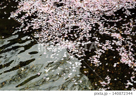 川に浮かぶ桜の花びら 川に浮かぶ桜の花びら 140872344