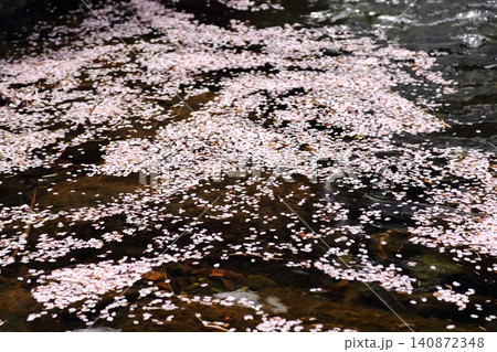 川に浮かぶ桜の花びら 川に浮かぶ桜の花びら 140872348