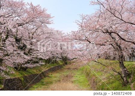 七谷川桜公園 七谷川桜公園 140872409