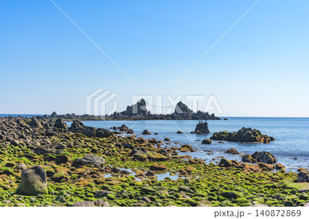 晴天の真鶴半島・三ツ石海岸の絶景と緑の苔に覆われた岩場 晴天の真鶴半島・三ツ石海岸の絶景と緑の苔に覆われた岩場 140872869