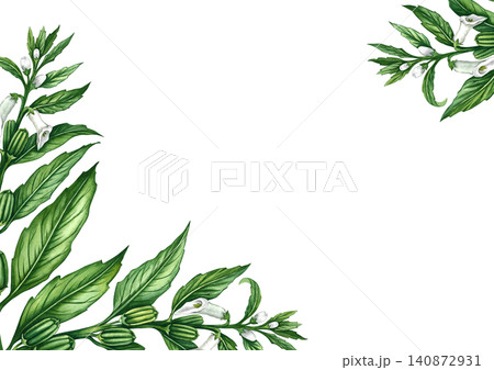 Frame with sesame plant with flowers, leaves, and pods. Hand-drawn watercolor illustration. Perfect for creating product labels, posters and banners, menus, postcards, and more. 140872931