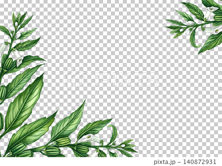 Frame with sesame plant with flowers, leaves, and pods. Hand-drawn watercolor illustration. Perfect for creating product labels, posters and banners, menus, postcards, and more. Frame with sesame plant with flowers, leaves, and pods. Hand-drawn watercolor illustration. Perfect for creating product labels, posters and banners, menus, postcards, and more. 140872931