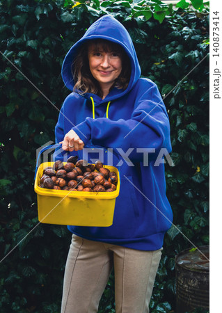 Woman in yellow rubber boots and blue hoodie gathering walnuts in the garden. Autumn harvesting. Women hands holding bucket full of wet nuts on ivy background. Healthy food concept. Gathering nuts Woman in yellow rubber boots and blue hoodie gathering walnuts in the garden. Autumn harvesting. Women hands holding bucket full of wet nuts on ivy background. Healthy food concept. Gathering nuts 140873414
