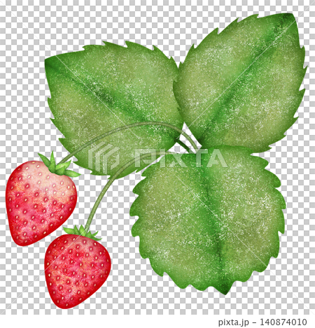 水彩で描いたイチゴのイラスト 140874010