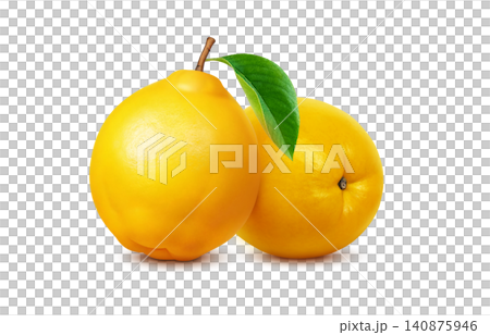 卡琳插畫,寫實卡琳 卡琳插畫,寫實卡琳 140875946