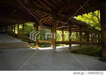 東福寺 静寂に包まれる木漏れ日が美しい廻廊1 東福寺 静寂に包まれる木漏れ日が美しい廻廊1 140876512