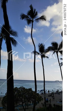 ハワイ ホノルル海のヤシの木 ハワイ ホノルル海のヤシの木 140878732
