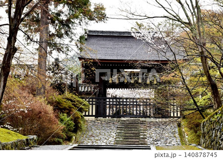 京都市山科区 毘沙門堂の勅使門と新緑と桜 京都市山科区 毘沙門堂の勅使門と新緑と桜 140878745