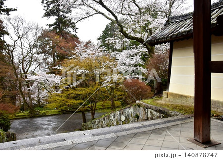 京都市山科区 毘沙門堂の薬医門と新緑と桜 京都市山科区 毘沙門堂の薬医門と新緑と桜 140878747