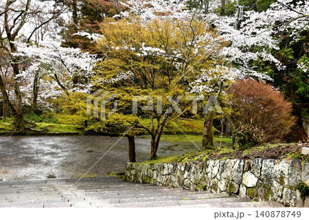 京都市山科区 毘沙門堂の薬医門前石段と新緑と桜 京都市山科区 毘沙門堂の薬医門前石段と新緑と桜 140878749