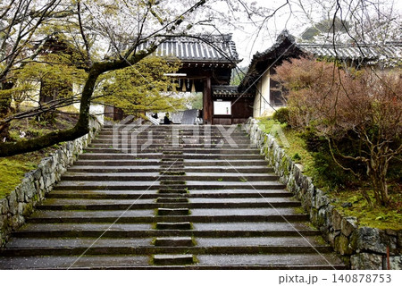 京都市山科区 毘沙門堂の薬医門と新緑と桜 京都市山科区 毘沙門堂の薬医門と新緑と桜 140878753