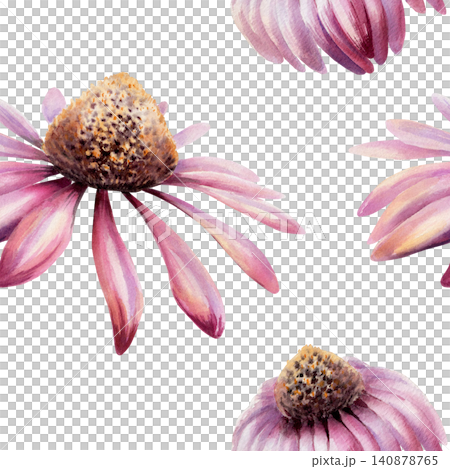 Echinacea seamless pattern watercolor illustration. Purple coneflower blossom for health immunity pharmacy branding, cold remedy packaging, medical tea design, organic herbal wellness wallpaper Echinacea seamless pattern watercolor illustration. Purple coneflower blossom for health immunity pharmacy branding, cold remedy packaging, medical tea design, organic herbal wellness wallpaper 140878765