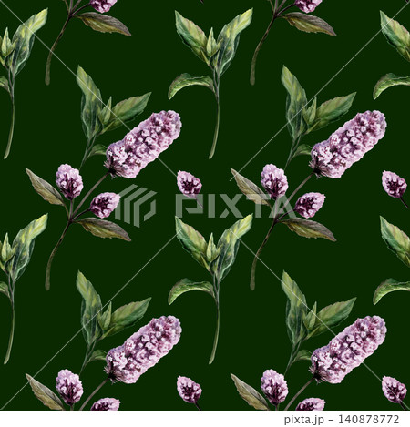 Mint seamless pattern watercolor illustration on dark background. Mentha medicinal herb for premium calming spa branding, stress relief oil packaging, organic sleep aromatherapy wellness print Mint seamless pattern watercolor illustration on dark background. Mentha medicinal herb for premium calming spa branding, stress relief oil packaging, organic sleep aromatherapy wellness print 140878772