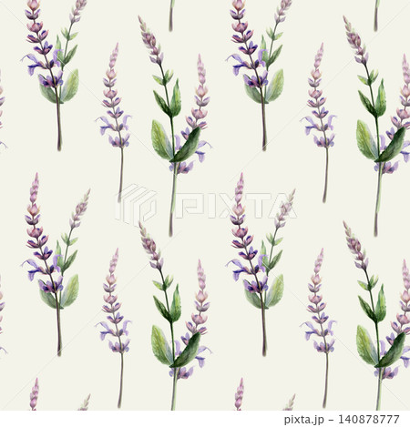 Sage seamless pattern watercolor illustration on cream background. Salvia medicinal herb blossom for calming pharmacy branding, stress relief remedy packaging, sleep tea design, herbal backdrop Sage seamless pattern watercolor illustration on cream background. Salvia medicinal herb blossom for calming pharmacy branding, stress relief remedy packaging, sleep tea design, herbal backdrop 140878777