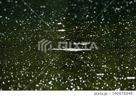 Clusters of blue-green algae (cyanobacteria) on the water surface 140878846