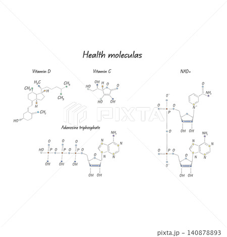 Structure of molecules sketch style vitamin c, vitamin d, atp, nad+ molecule 140878893