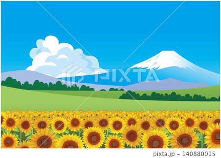 夏のひまわり畑風景 夏のひまわり畑風景 140880015