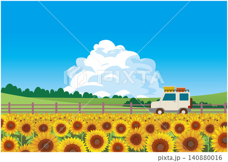 夏のひまわり畑風景 夏のひまわり畑風景 140880016