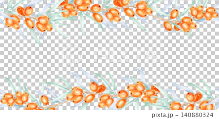 Orange sea buckthorn berries and narrow leaves creating upper and lower borders, watercolor clipart for certificates, product labels, menus, stationery layouts, and packaging applications Orange sea buckthorn berries and narrow leaves creating upper and lower borders, watercolor clipart for certificates, product labels, menus, stationery layouts, and packaging applications 140880324