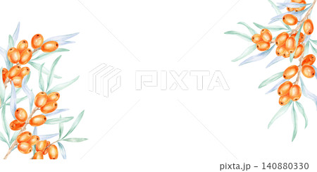 Bright orange sea buckthorn berries and slender blue-green leaves in corner accents, watercolor clipart created for website banners, product branding, labels, flyers, and marketing materials Bright orange sea buckthorn berries and slender blue-green leaves in corner accents, watercolor clipart created for website banners, product branding, labels, flyers, and marketing materials 140880330