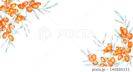 Orange sea buckthorn berries and soft blue-green leaves in opposite corners, watercolor clipart for packaging, product labels, website headers, greeting cards, stationery, and branding designs Orange sea buckthorn berries and soft blue-green leaves in opposite corners, watercolor clipart for packaging, product labels, website headers, greeting cards, stationery, and branding designs 140880331