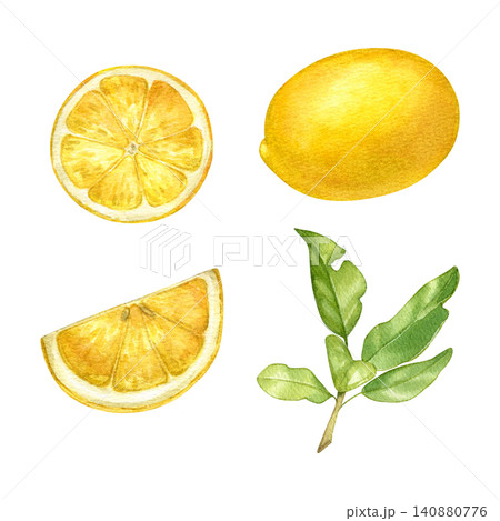 Set with lemon, whole, slices with pulp and leaves. Watercolor illustration of citrus fruits. Sour fruit. Part of a fruit tree. Suitable for kitchen decor, fabrics, posters, books, food labels. Set with lemon, whole, slices with pulp and leaves. Watercolor illustration of citrus fruits. Sour fruit. Part of a fruit tree. Suitable for kitchen decor, fabrics, posters, books, food labels. 140880776