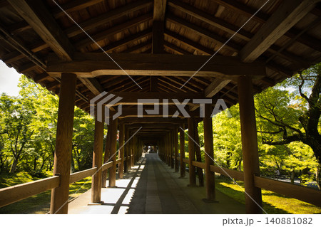 東福寺 静寂に包まれる木漏れ日が美しい通天橋2 東福寺 静寂に包まれる木漏れ日が美しい通天橋2 140881082