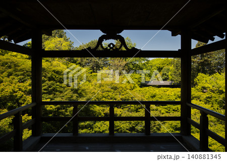 東福寺 通天台から望む生命力に溢れた青もみじ14 東福寺 通天台から望む生命力に溢れた青もみじ14 140881345