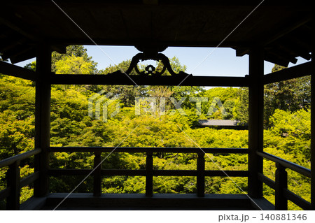 東福寺 通天台から望む生命力に溢れた青もみじ15 東福寺 通天台から望む生命力に溢れた青もみじ15 140881346