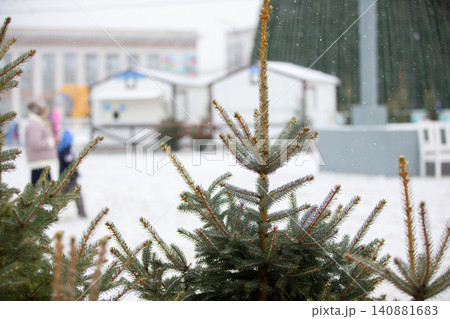 Snow-covered evergreen trees in winter festival setting with people enjoying the festivities 140881683