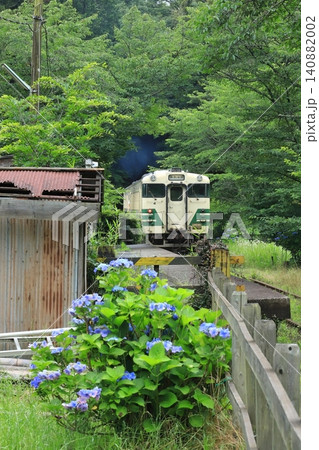 小湊鐵道「紫陽花咲く6月下旬の飯給駅風景」 小湊鐵道「紫陽花咲く6月下旬の飯給駅風景」 140882002