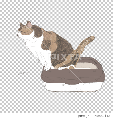 Cat that poops Cat that poops 140882148