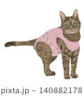 術後服を着た猫さん 140882178