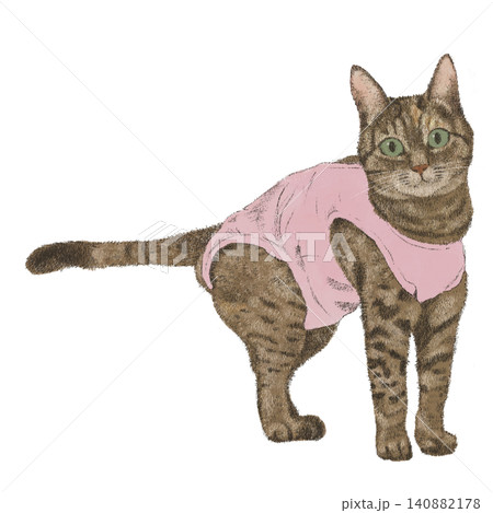 術後服を着た猫さん 術後服を着た猫さん 140882178