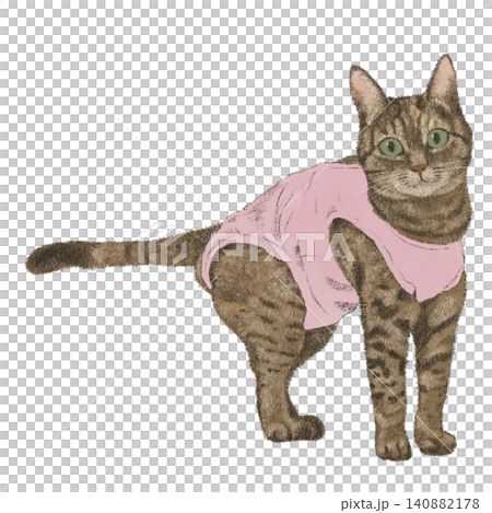 術後服を着た猫さん 術後服を着た猫さん 140882178