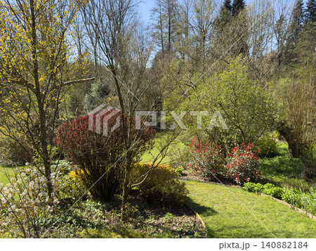 Enlgish green garden with multpiple type of trees and plants Enlgish green garden with multpiple type of trees and plants 140882184